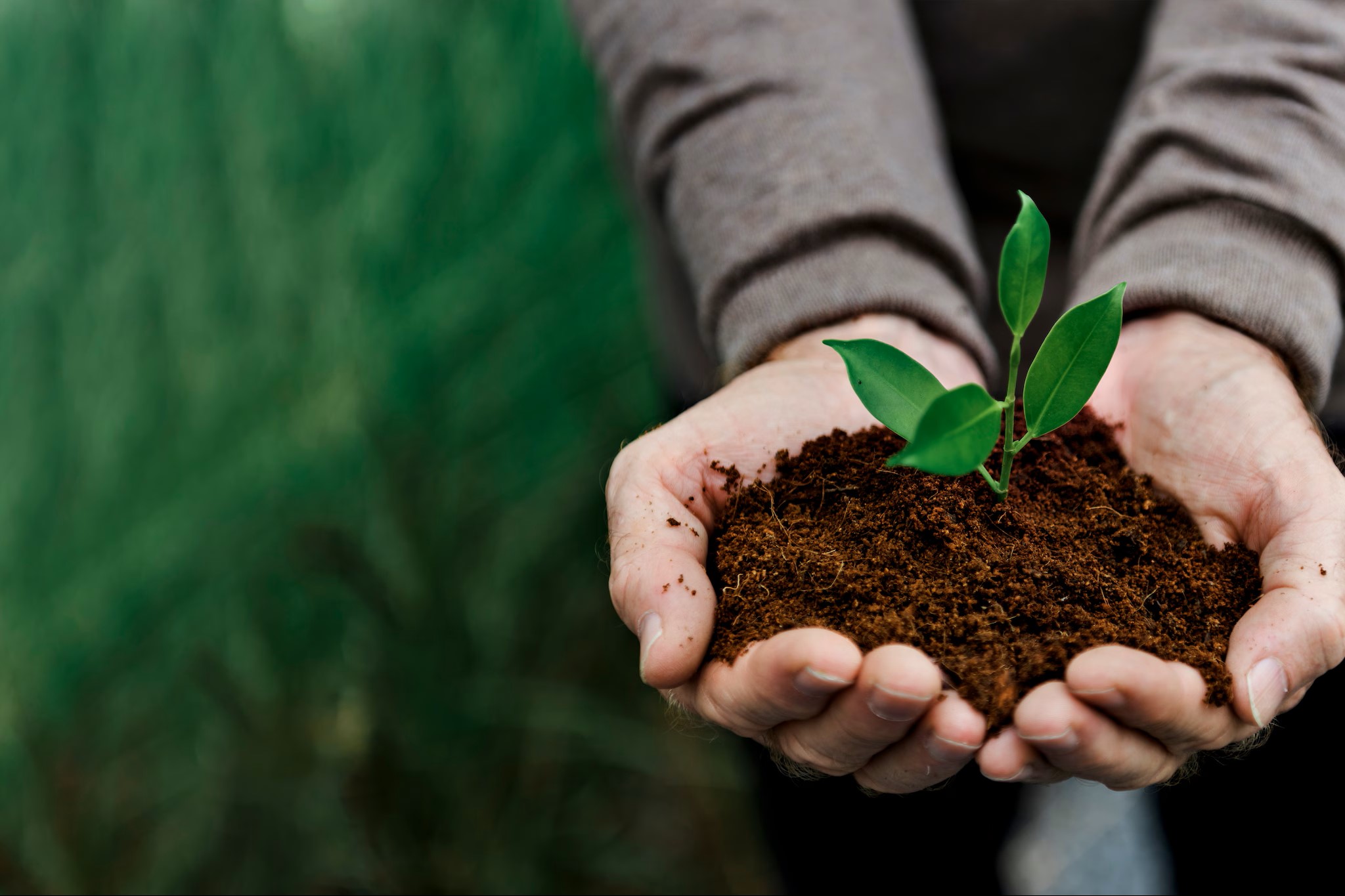 Environment & Sustainability